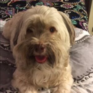 Meet your Posher, Elly